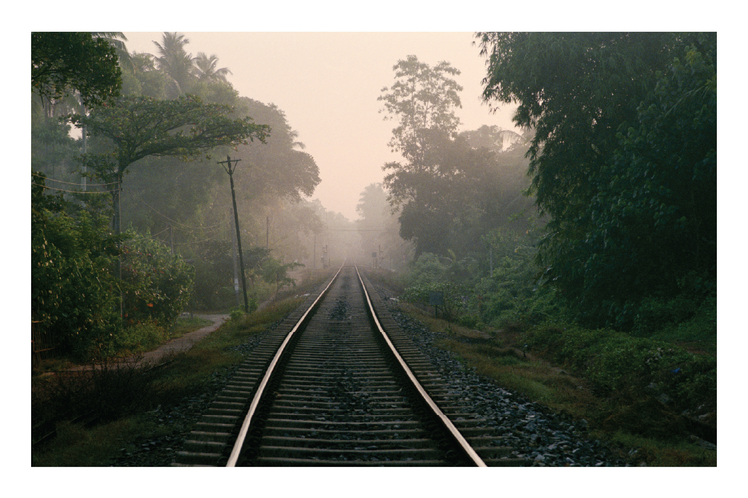 Gone in Stillness ©  Andzej Gavriss