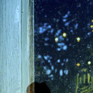 'Blue Window' swatch