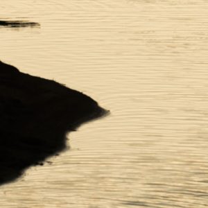 'The Last Light' swatch