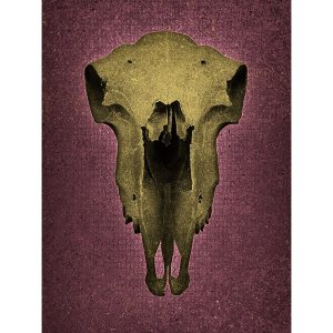 Skull No Horns - Magenta