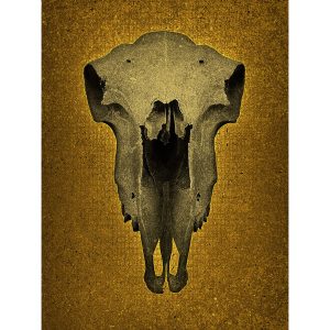 Skull No Horns - yellow