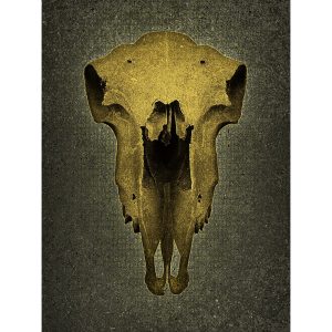 Skull No Horns Grey-Gold