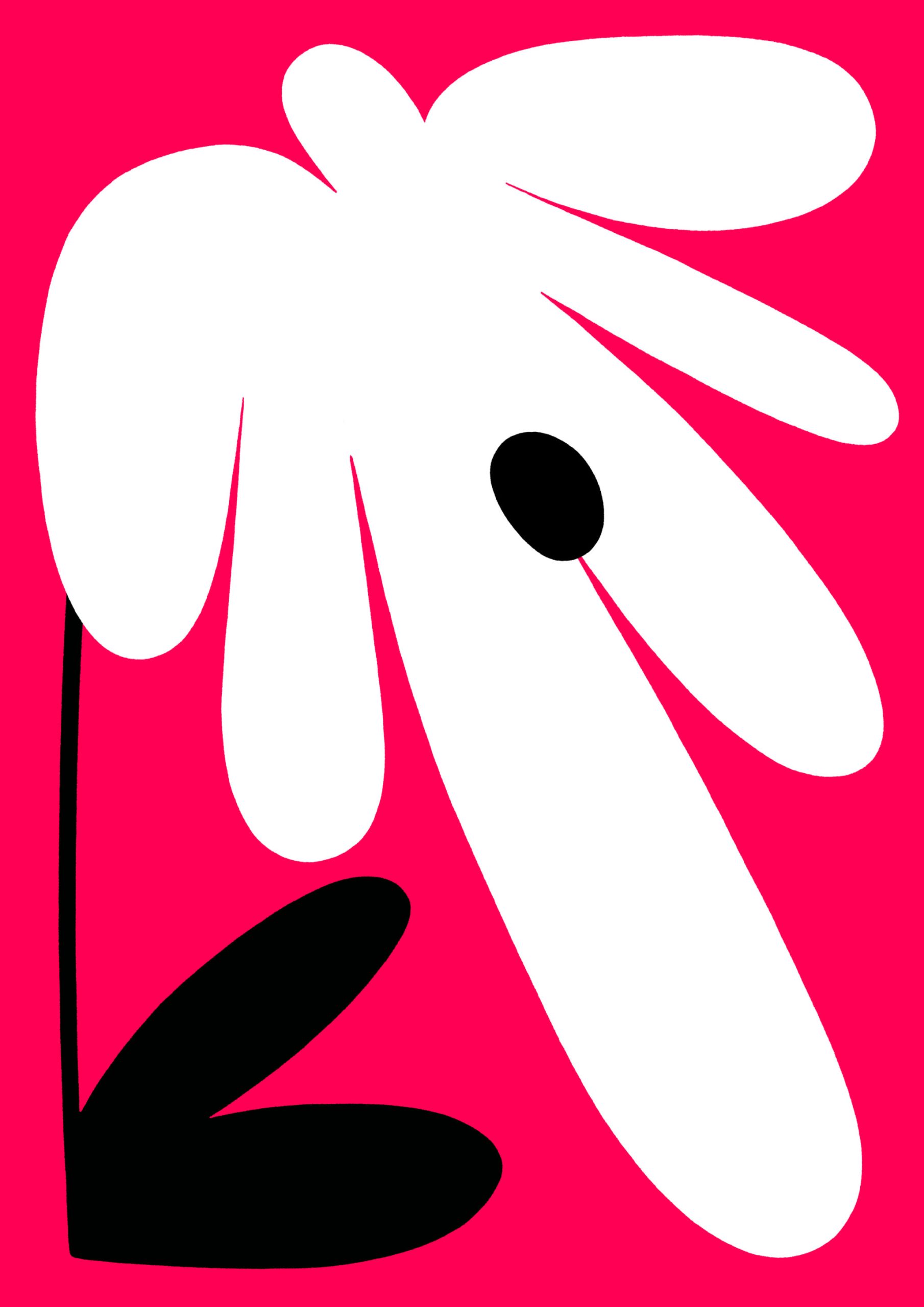 Flower 2, © Mr Will Stewart