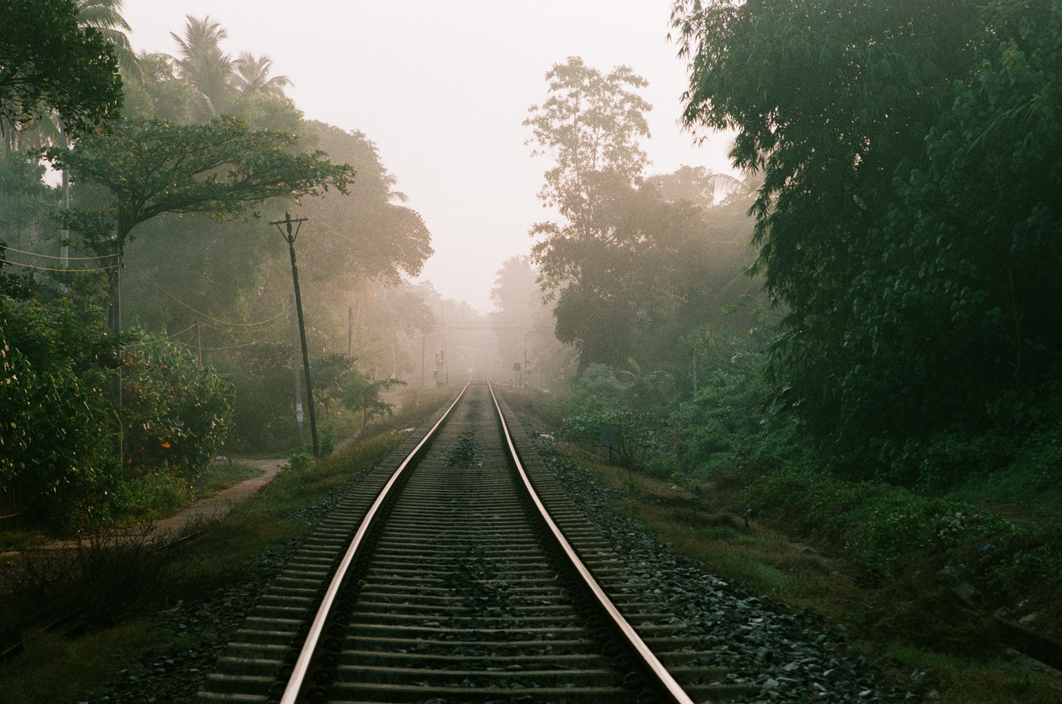 Gone in Stillness, Andzej Gavriss